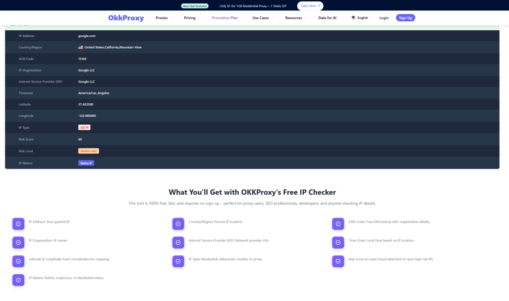 OKKProxy提供的免費IP位址查找工具介面示意