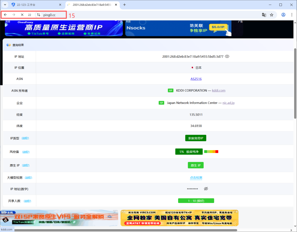 如何在IP检测网站查看当前代理IP地址